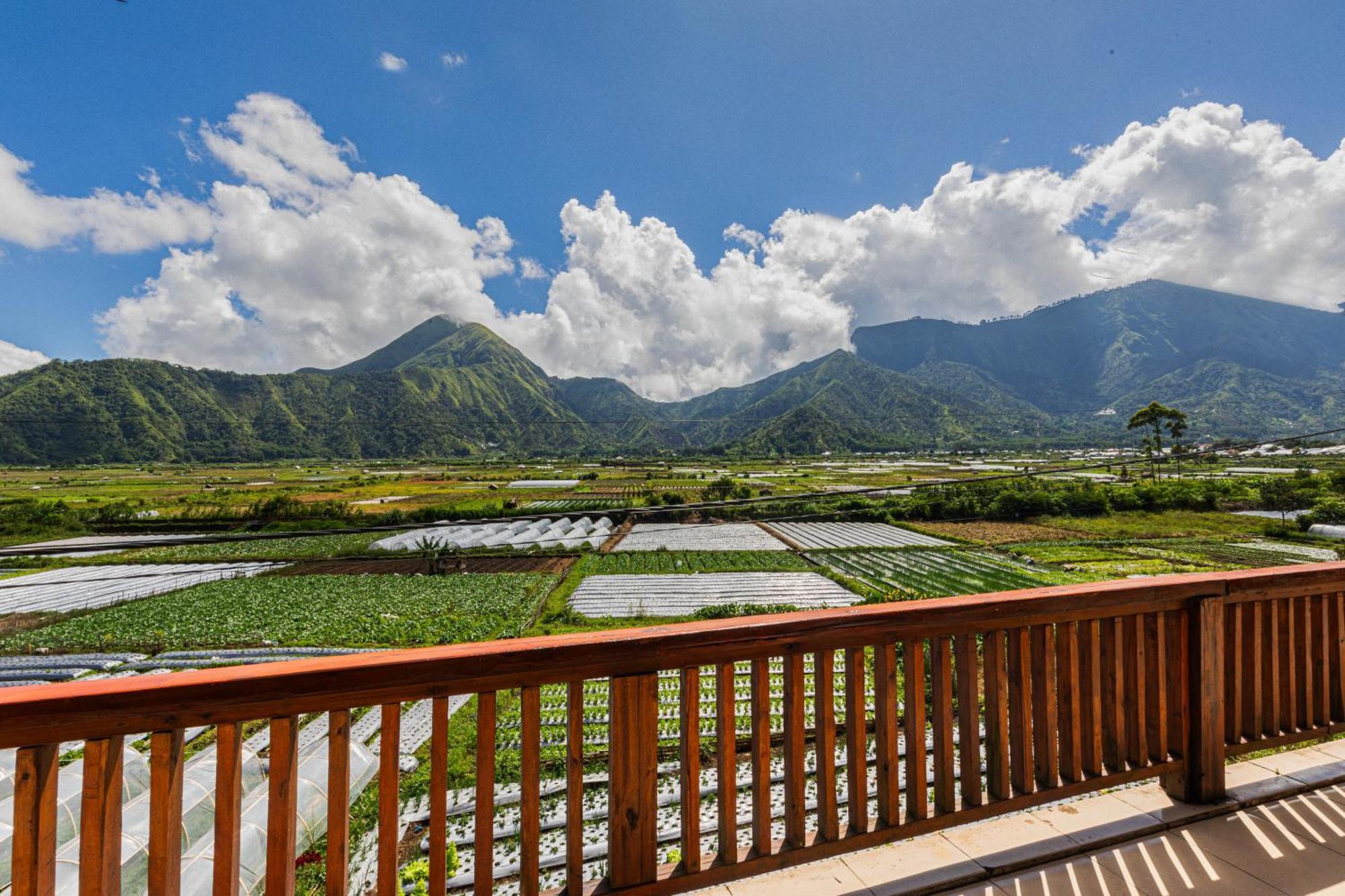 Teras Sawah Guest House Syariah ซัมบาลัง ลาวัง ภายนอก รูปภาพ