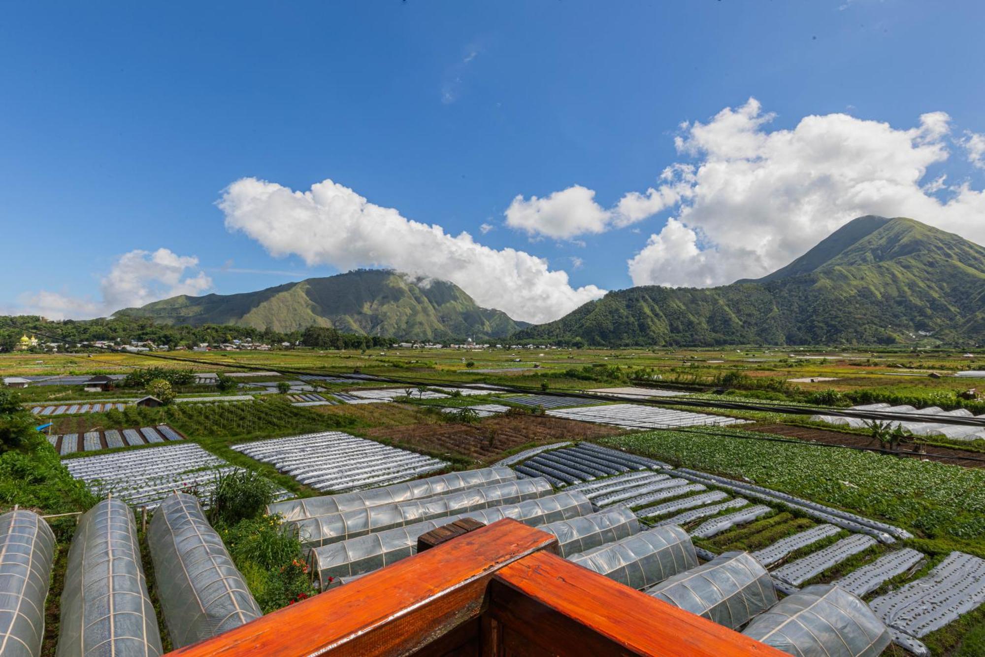 Teras Sawah Guest House Syariah ซัมบาลัง ลาวัง ภายนอก รูปภาพ